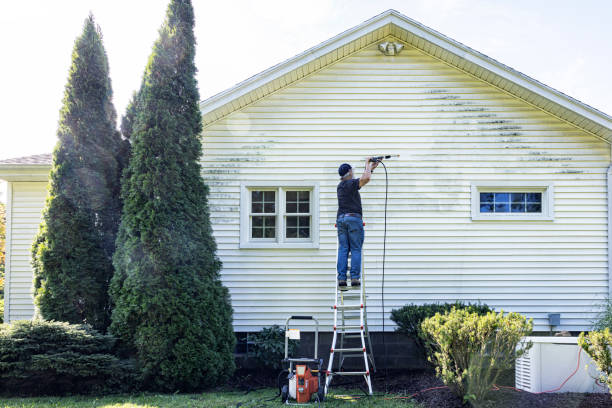 Best Driveway Pressure Washing  in Channel Islands Beach, CA